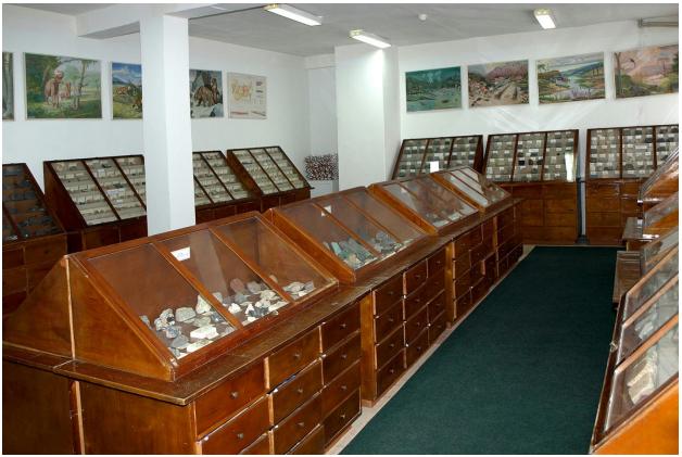 Фонд музею включає 11100 експонатів мінералів, гірських порід і скам'янілостей