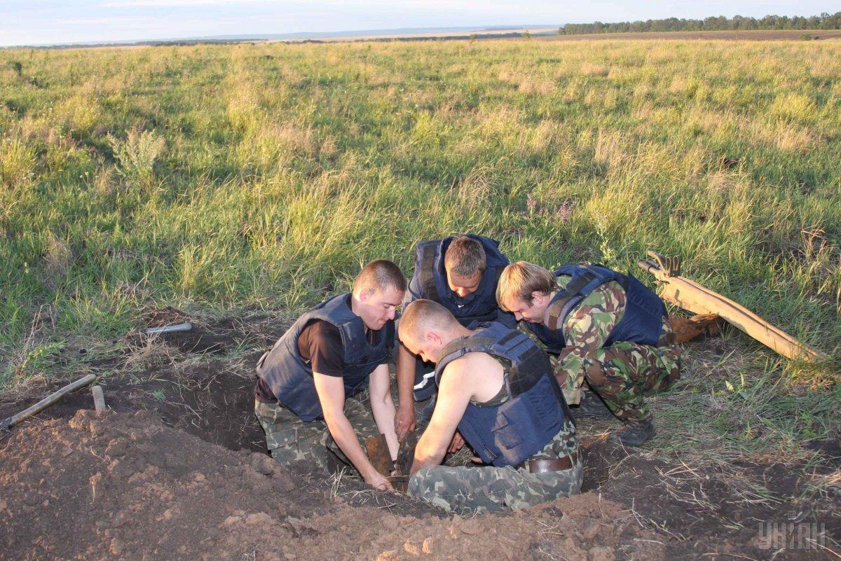 Перший заступник голови Верховної Ради зазначила, що в питанні проведення розмінування Україна повинна спиратися на досвід інших країн