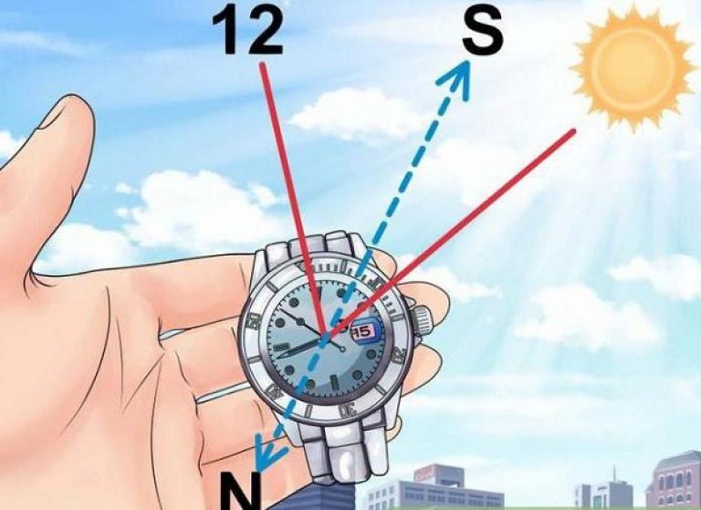 Звичайні наручний годинник зі стрілками - ще один чудовий інструмент, що дозволяє в денний час приблизно знайти північне і південний напрямок, якщо ви збилися з маршруту