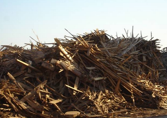 Запас деревини на Україні оцінено в 1,8 млрд