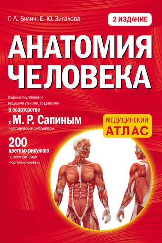 Анатомія людини   199 руб