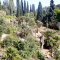 Фоторепортаж про царство кактусів   На узбережжі Коста-Брава в Іспанії знаходиться єдиний ботанічний тропічний сад Піня де Роса», де ростуть виключно кактуси