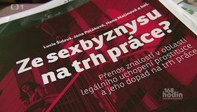 Ілюстративне фото: ЧТ24   - У репортажі Чеського телебачення повідомлялося, що за годину надаються сексуальним асистентом послуг клієнт може заплатити від однієї тисячі крон до трьох (від 36 до 109 євро)