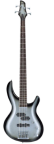Бас-гітара (електрична бас-гітара) - це підвид електрогітари, але більш масивна за будовою (має більш масивний корпус і довгий гриф)