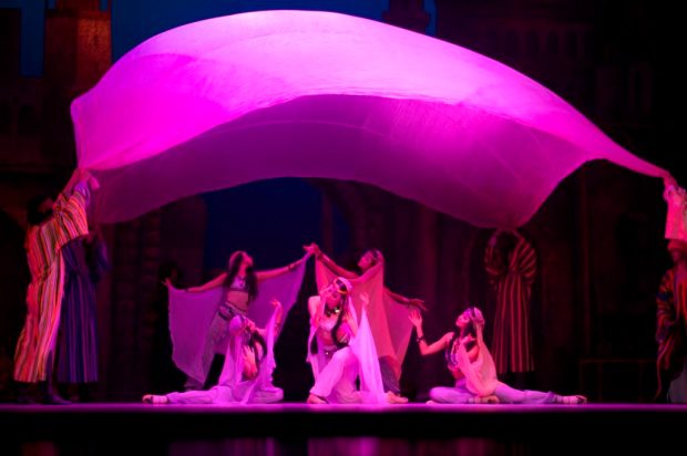 «Корсар» - барвистий балет на пригодницьку тему з життя корсарів: екзотичний сюжет розгортається, як строкатий, багатобарвний східний килим, вражаючи розгнузданими пристрастями, великою кількістю драматичних ситуацій, багаторазовим чергуванням небезпеки і порятунку